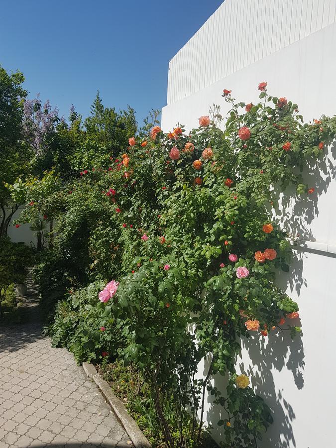 Hotel Badagi Tiflis Exterior foto